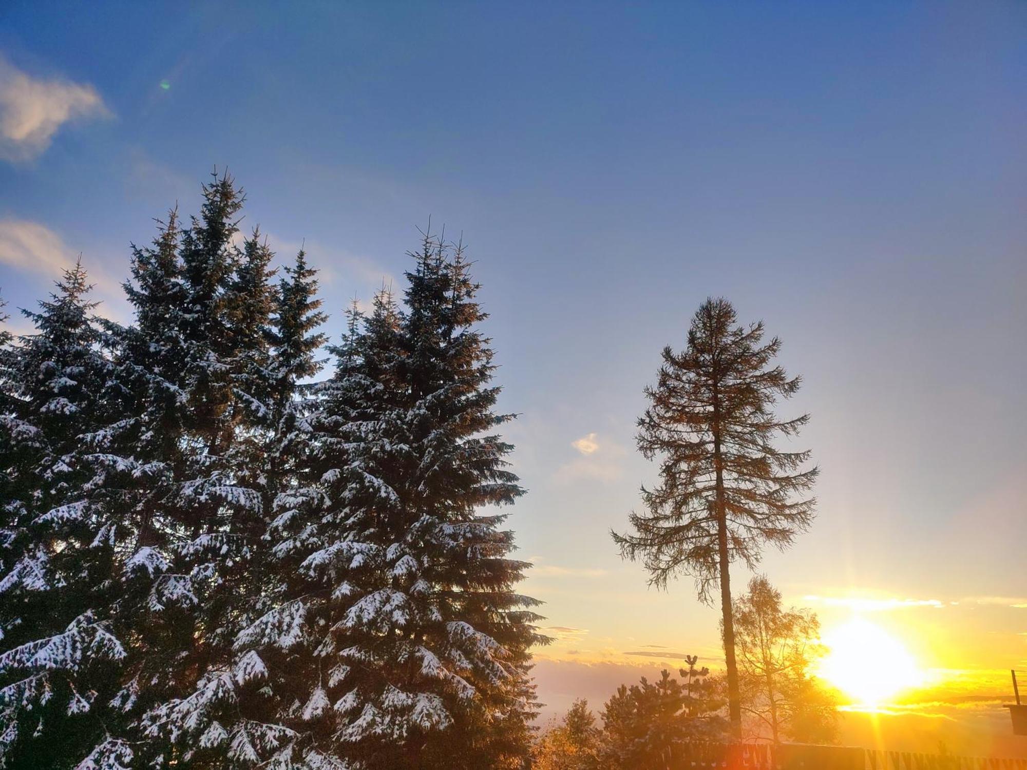 Nature Living Koralm - Neue Chalets Auf Der Koralpe Im Schi- Und Wanderparadies Sankt Stefan im Lavanttal Exterior photo