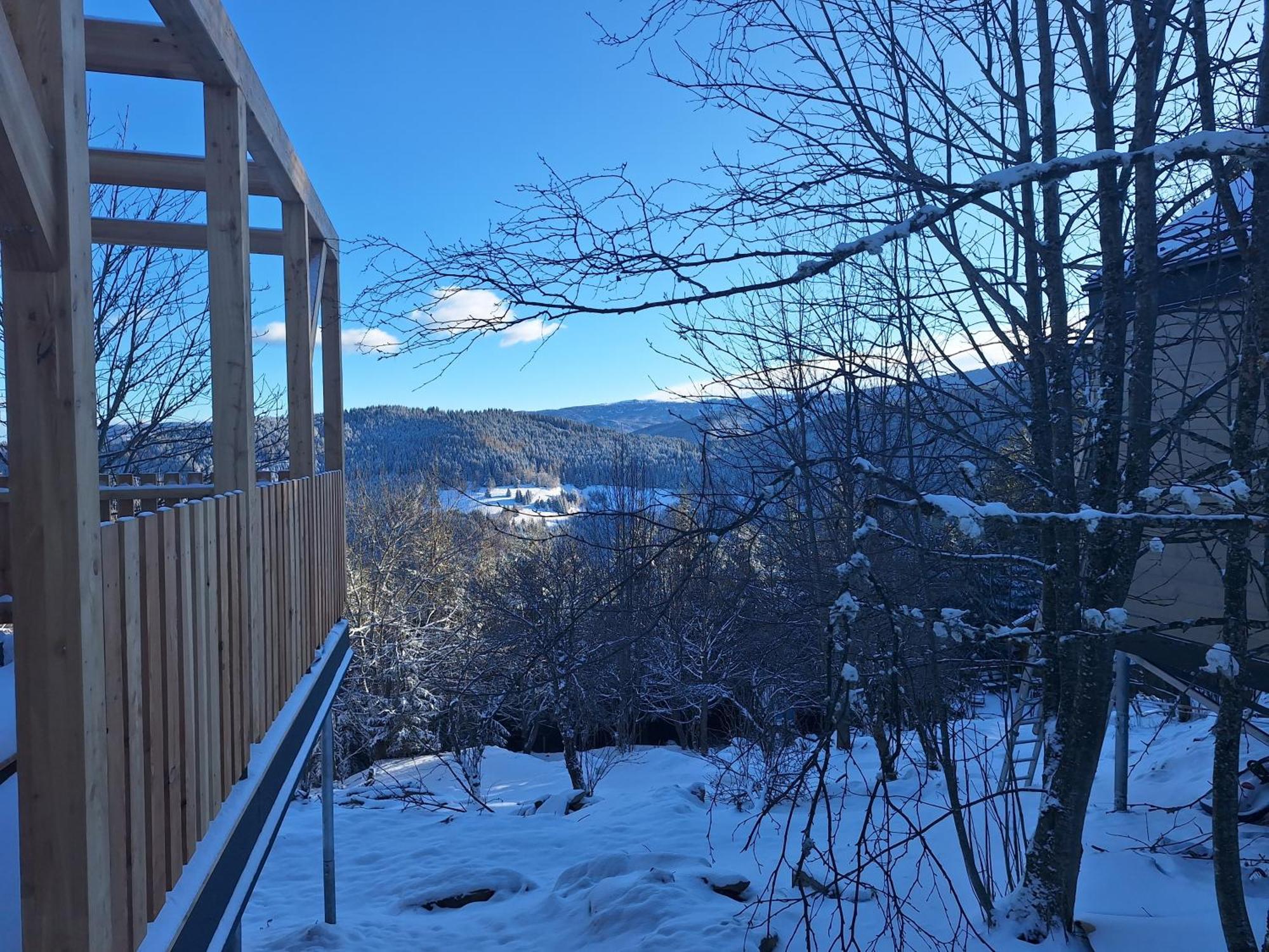 Nature Living Koralm - Neue Chalets Auf Der Koralpe Im Schi- Und Wanderparadies Sankt Stefan im Lavanttal Exterior photo